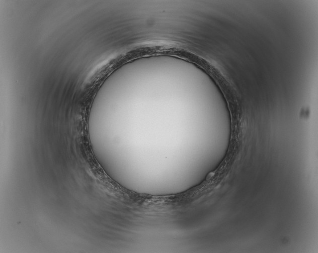 X0000111240967200907161337