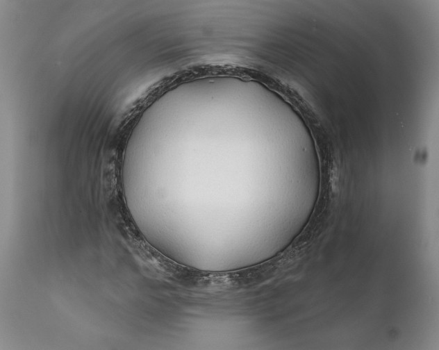 X0000111240968200907161337