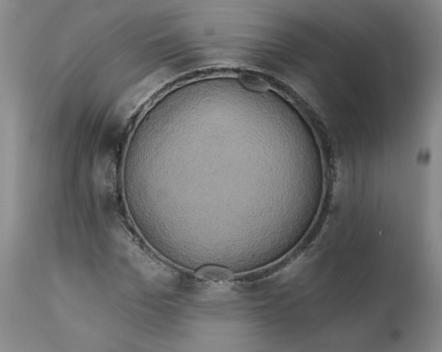 X0000111240969200907161337