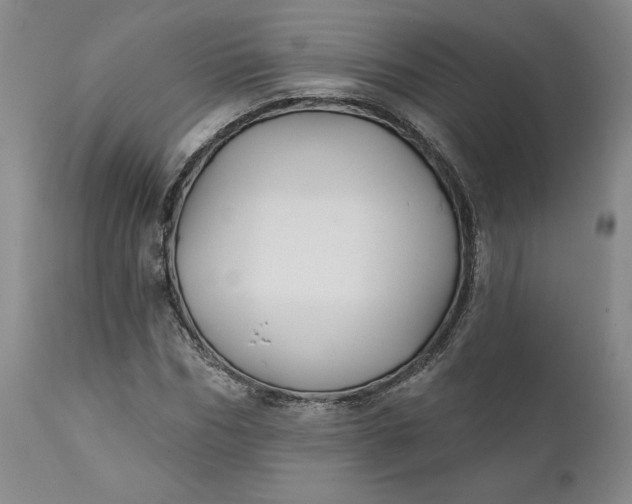 X0000111240970200907161337