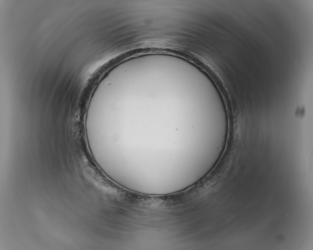 X0000111240971200907161337