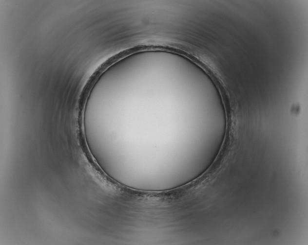 X0000111240976200907161337