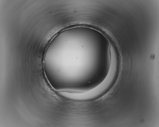 X0000111240977200907161337