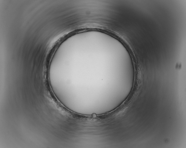 X0000111240979200907161337