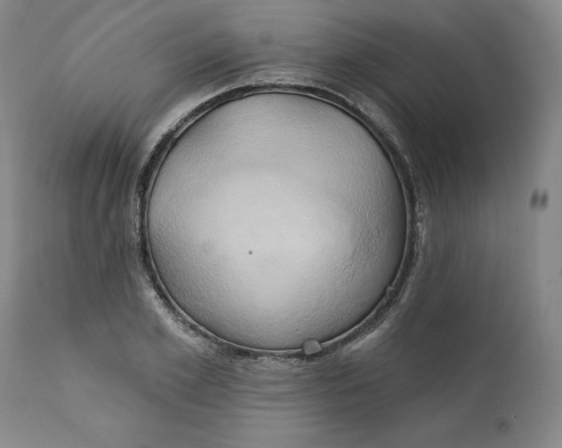 X0000111240981200907161337