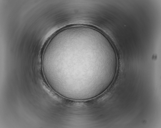 X0000111240982200907161337