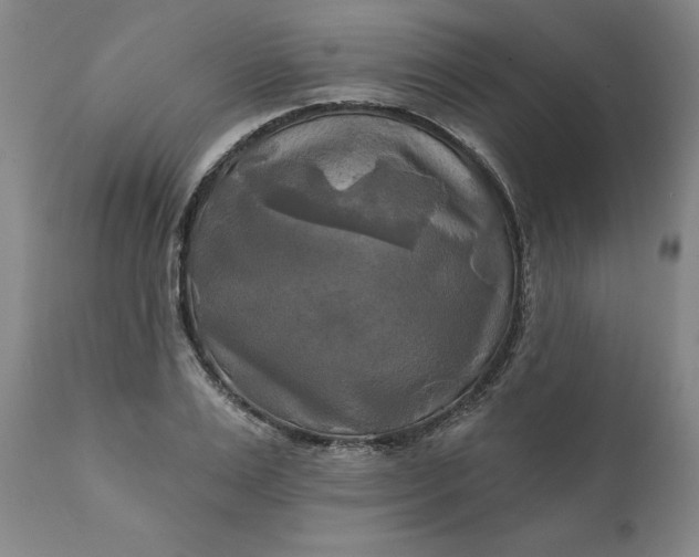 X0000111240983200907161337