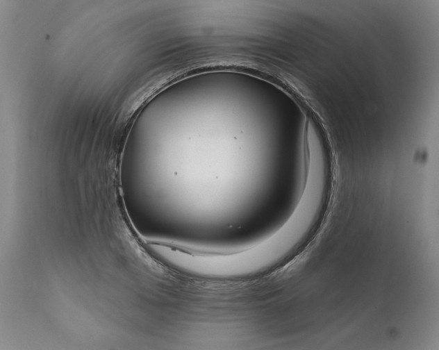 X0000111240985200907161337