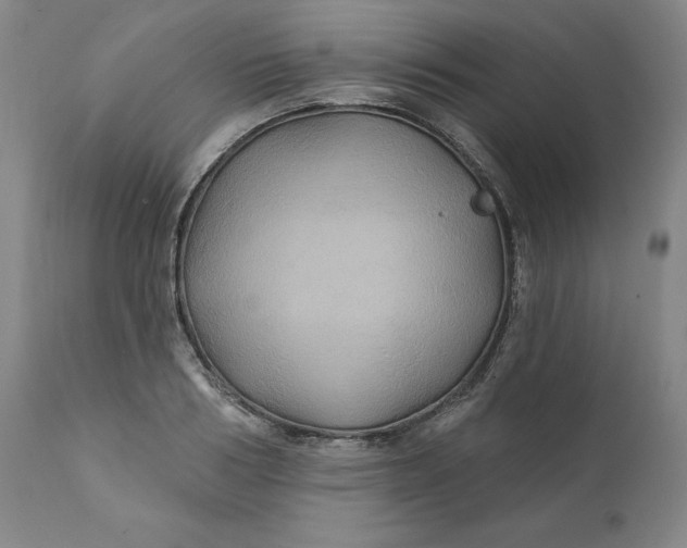 X0000111240986200907161337