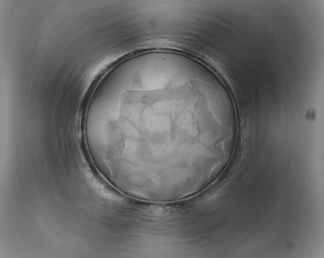 X0000111240987200907161337