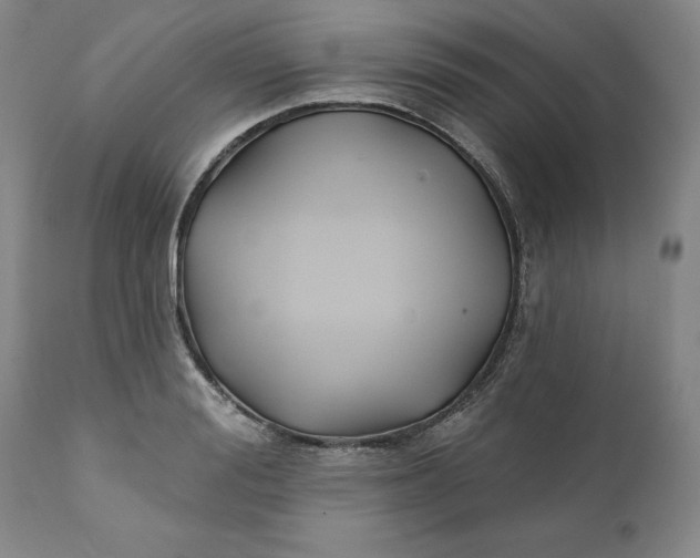 X0000111240988200907161337