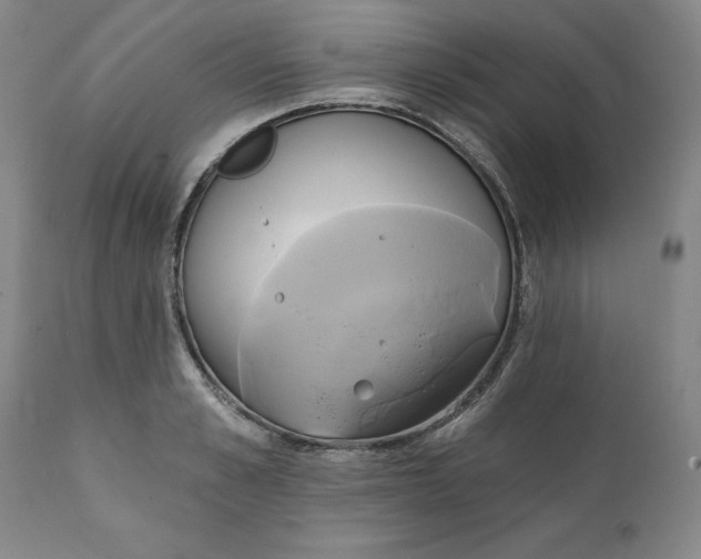 X0000111240989200907161337