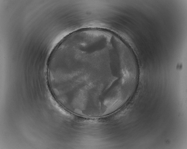 X0000111240990200907161337