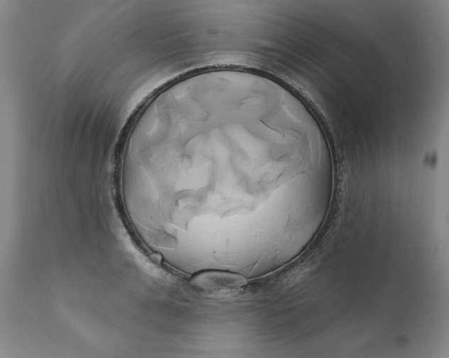 X0000111240991200907161337