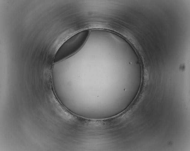 X0000111240993200907161336