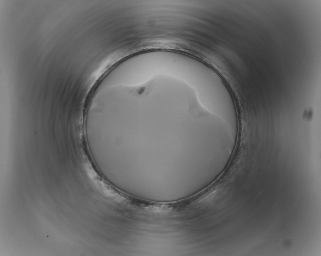 X0000111240994200907161336