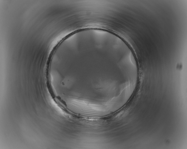 X0000111240995200907161336