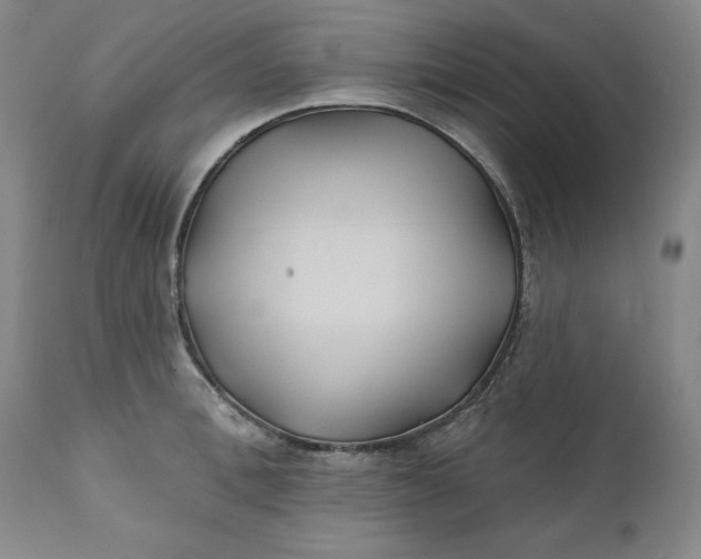 X0000111240996200907161336