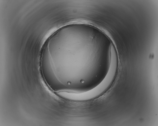 X0000111240997200907161336