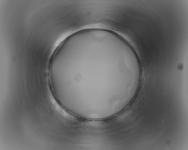 X0000111240998200907161336