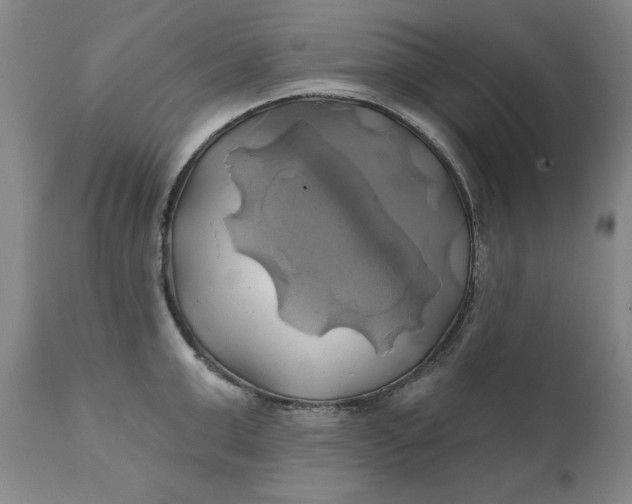 X0000111240999200907161336