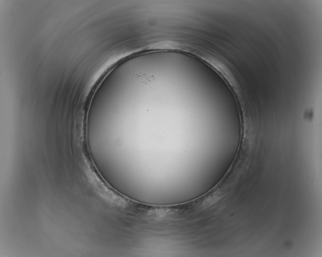 X0000111241000200907161336