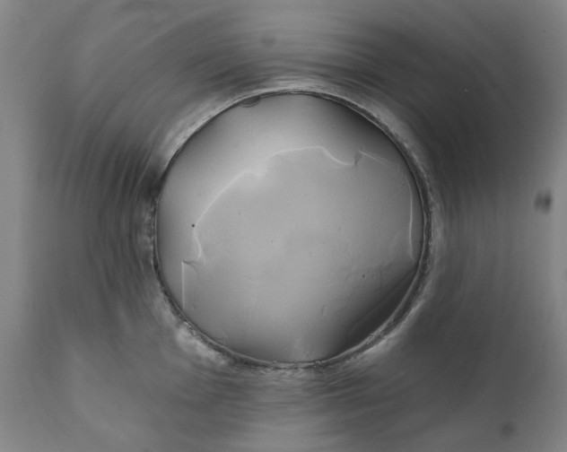 X0000111241001200907161336