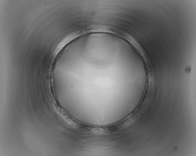 X0000111241002200907161336