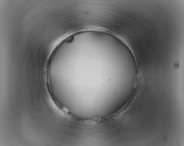 X0000111241003200907161336