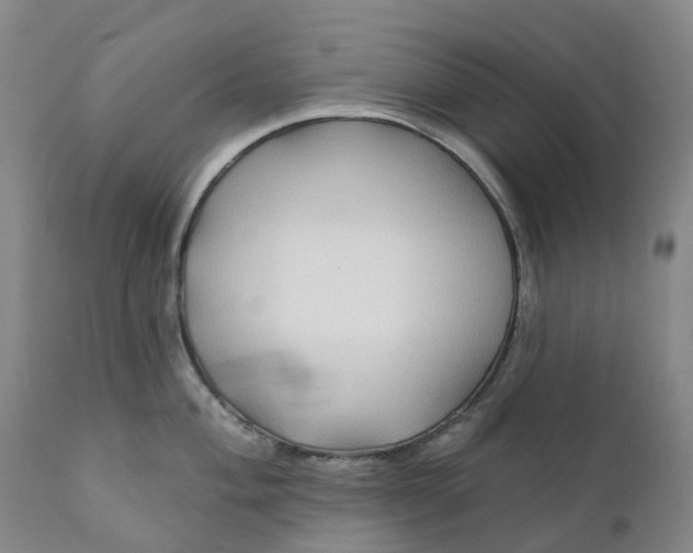 X0000111241004200907161336