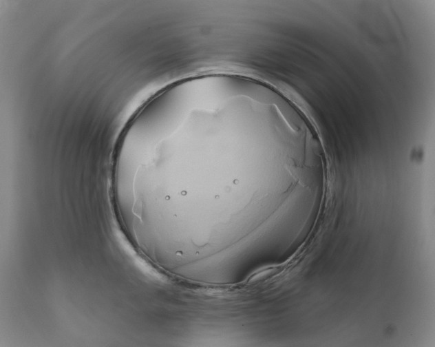 X0000111241005200907161336