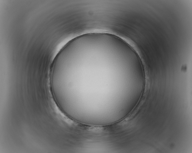 X0000111241006200907161336