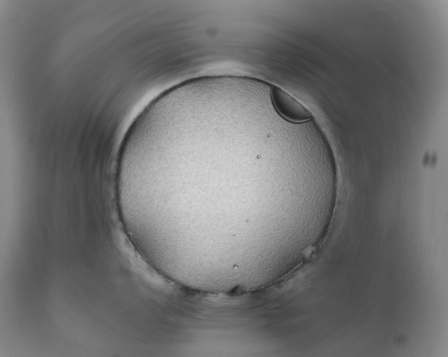 X0000111241008200907161336