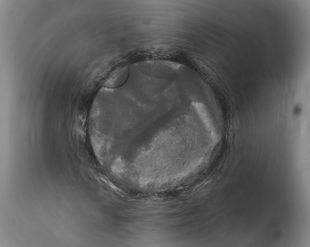 X0000111241010200907161335