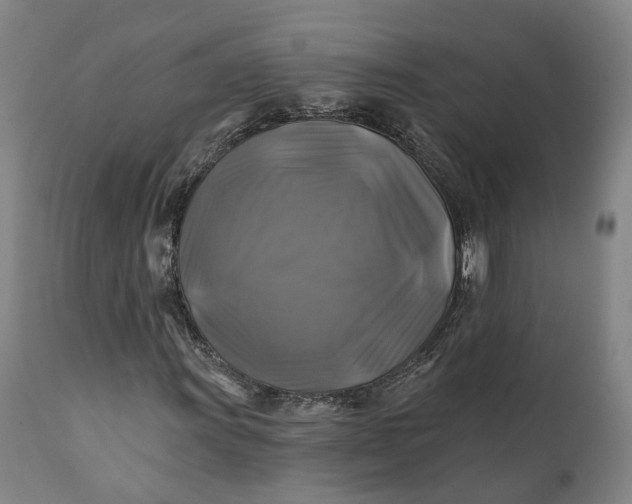 X0000111241011200907161335