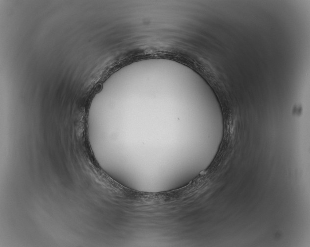 X0000111241012200907161335