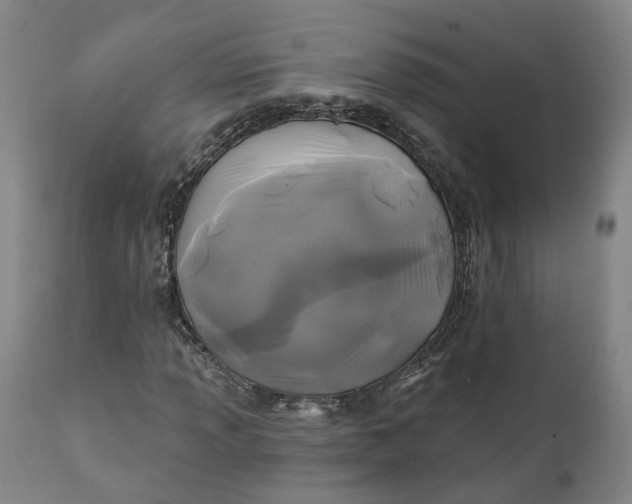 X0000111241013200907161335