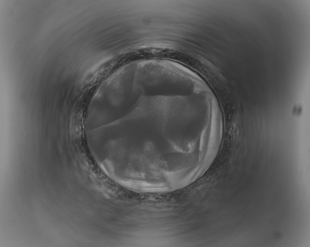 X0000111241014200907161336