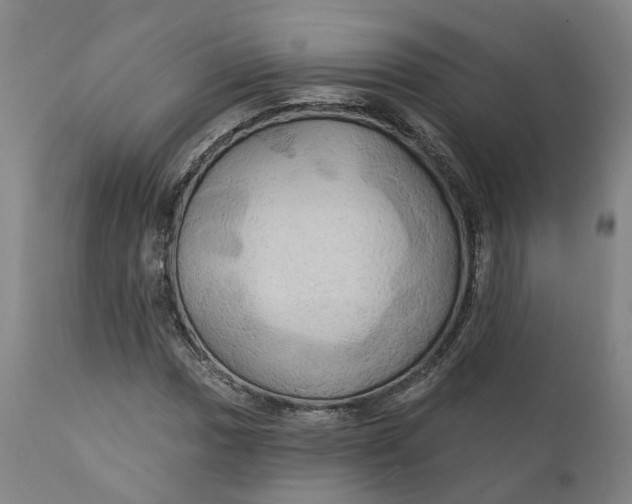 X0000111241017200907161336