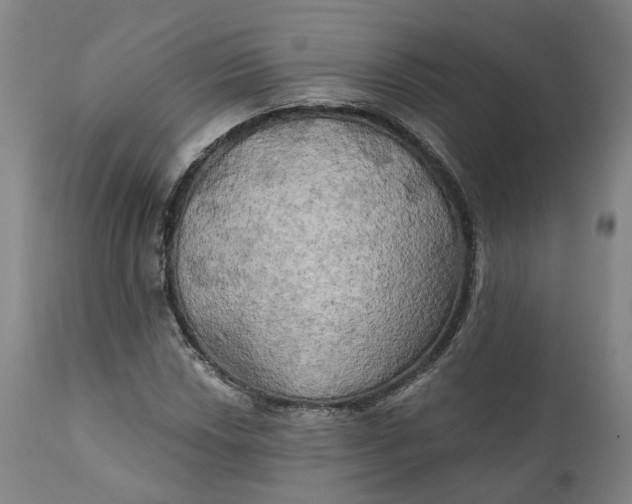 X0000111241018200907161336