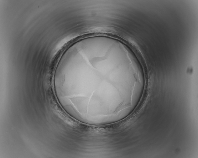 X0000111241019200907161336