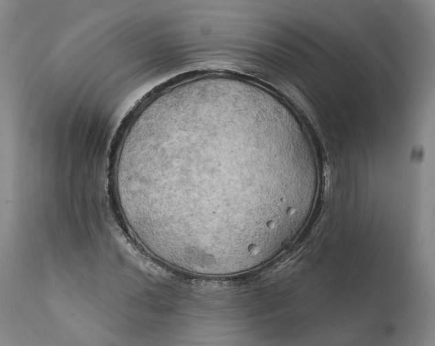 X0000111241020200907161336