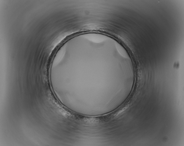 X0000111241023200907161336