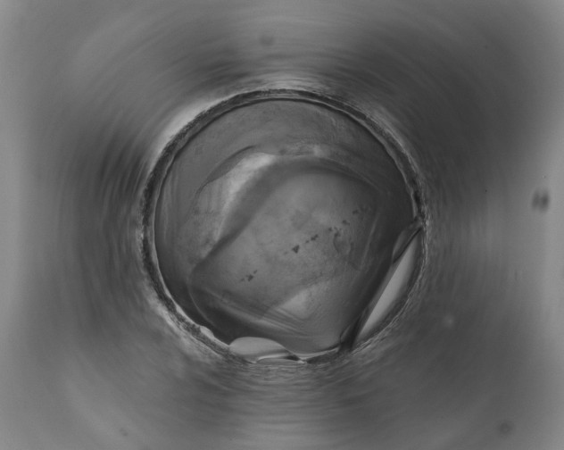 X0000111241024200907161336