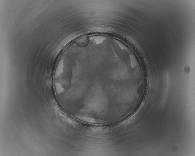 X0000111241025200907161336