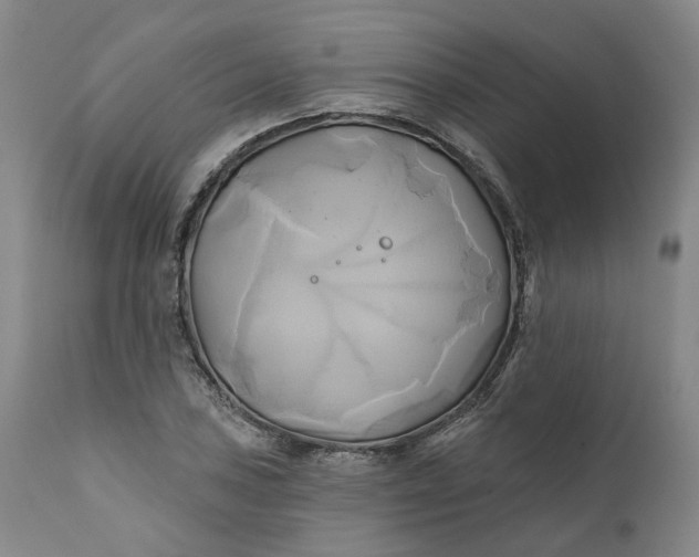 X0000111241027200907161336