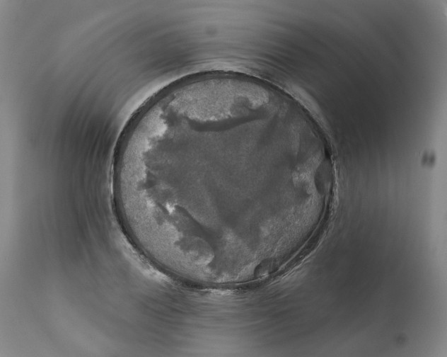 X0000111241028200907161336