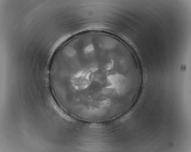 X0000111241029200907161336