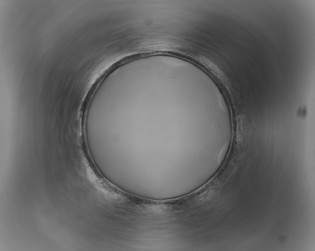 X0000111241031200907161336