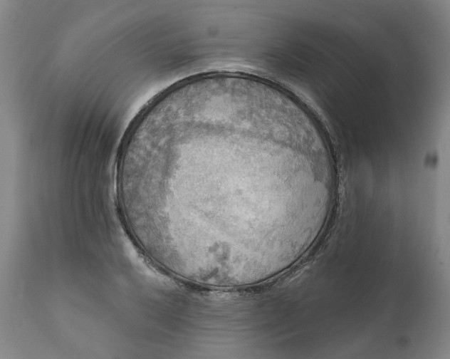 X0000111241032200907161336